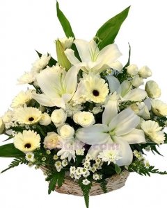 Blooms so Sweet